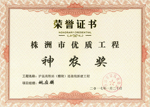 2015-16年度株洲市優(yōu)（神農獎）項目經(jīng)理證書（滬昆高鐵站連接線姚應麟）